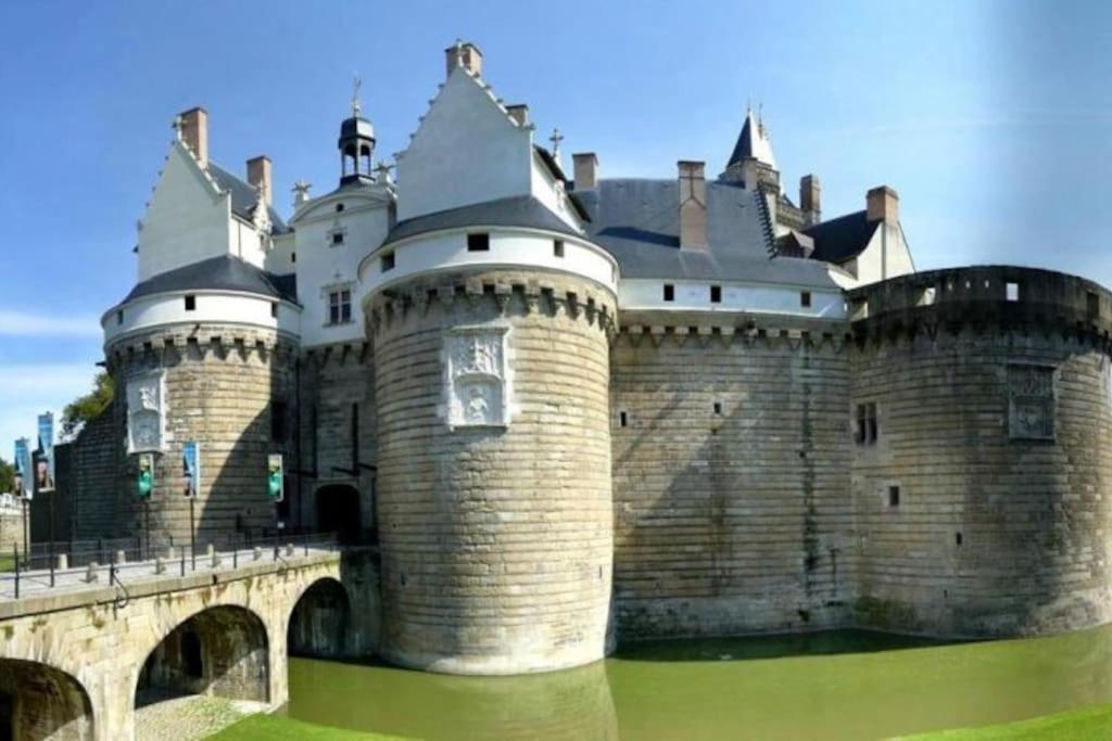 Et Calme En Bord De Loire. Appartement